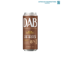2210-0033 BEER URBOCK CAN 24x500ml *DAB