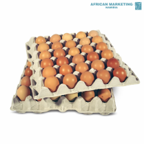 2255-0032 EGGS LARGE 10x30's TRAY *WENTSCHER