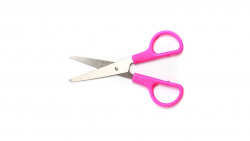 Multipurpose Scissor - Small