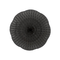 Sarah Beauty Shampoo Brush - Plastic - Grey (HS93039)