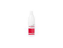 Dikson PROMASTER Argan Color Protective Shampoo 1000ml