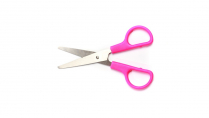 Multipurpose Scissor - Small