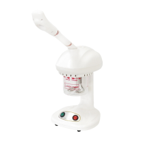 Salon Pro Facial Steamer - Mini Table Top