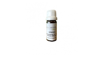 Essential Oil Ginger 11ml