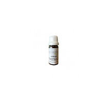 Essential Oil Ginger 11ml