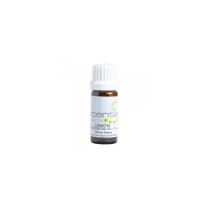 Salon Fresh Essential Oil Lemon 11ml