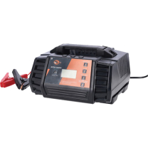 Battery Charger 12Amp 12/24V