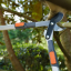 Pruning Lopper Telescopic