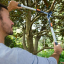 Pruning Lopper Telescopic