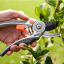 Shear Secateurs Bypass Pruner