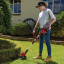 Lawn Trimmer C/less