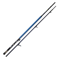 Rod Precision 13ft Spinning