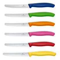 Knife Steak  Ass Colours 6Pc