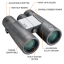 Binocular 10x42