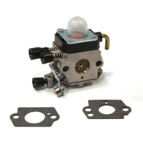Carburator Kit FS38