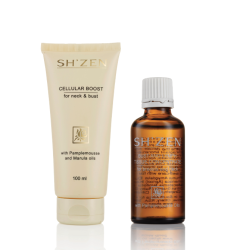 Dec 2025 - Sales Inc #2 - Bust + Lymph Conc + Inc#1