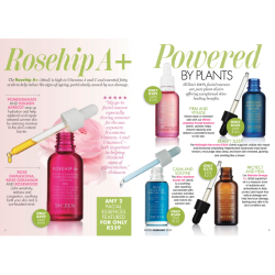 Facial Essence - Feb 2026