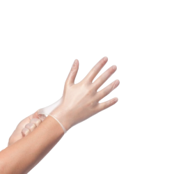 Disposable Gloves x 12