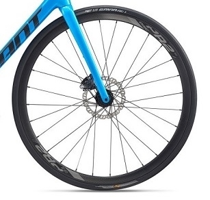 giant pr 2 disc weight