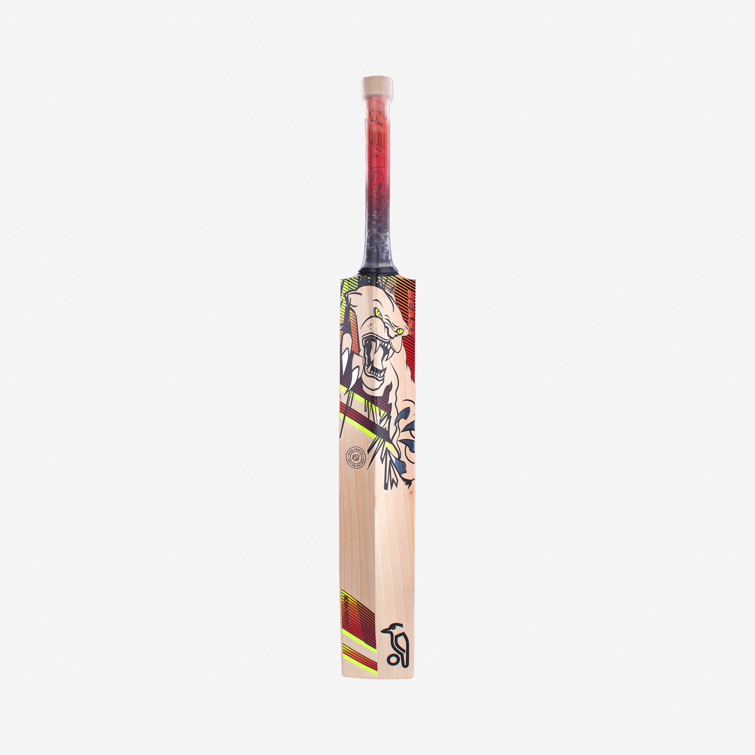 2023 Kookaburra Beast 3.1 Junior Cricket Bat back