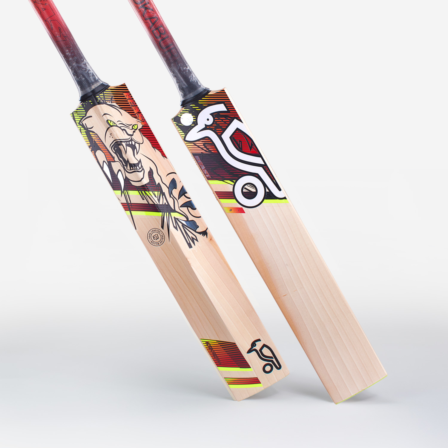 2023 Kookaburra Beast 3.1 Junior Cricket Bat