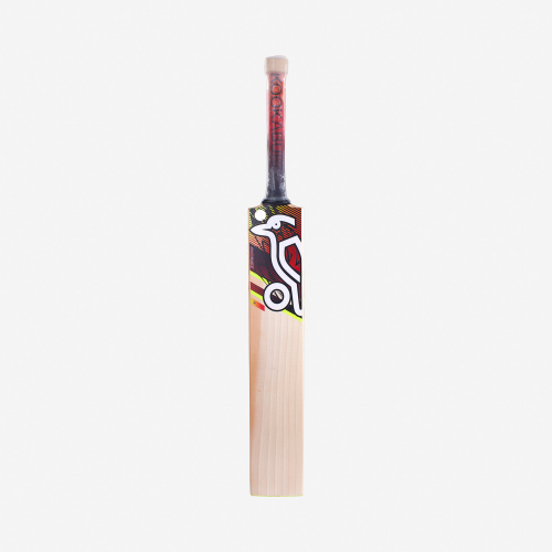 2023 Kookaburra Beast 3.1 Junior Cricket Bat front