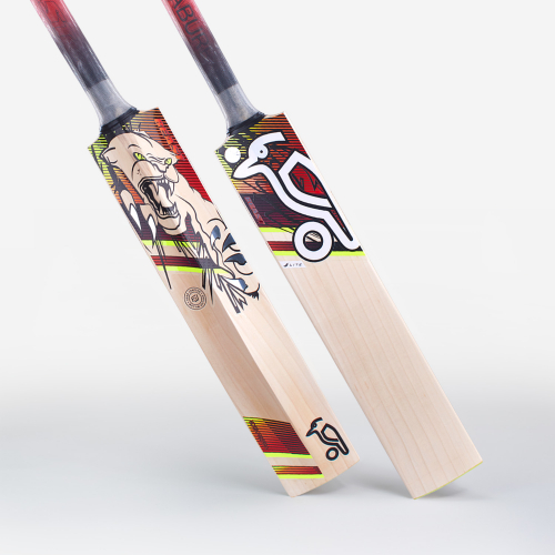 2023 Beast Lite Cricket Bat