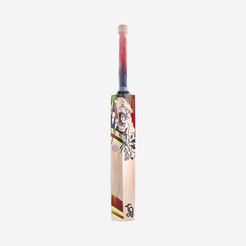 2023 Big Beast Cricket Bat back