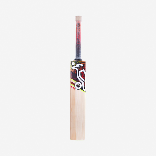 2023 Big Beast Cricket Bat front