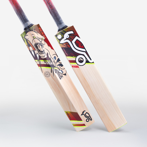 2023 Big Beast Cricket Bat