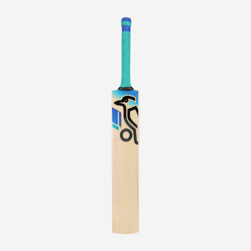 2025 Rapid 3.1 Junior Cricket Bat 