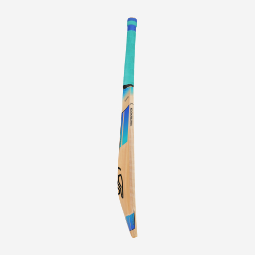 2025 Rapid 3.1 Junior Cricket Bat 