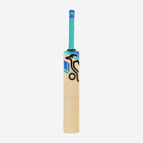 2025 Rapid 6.4 Junior Cricket Bat