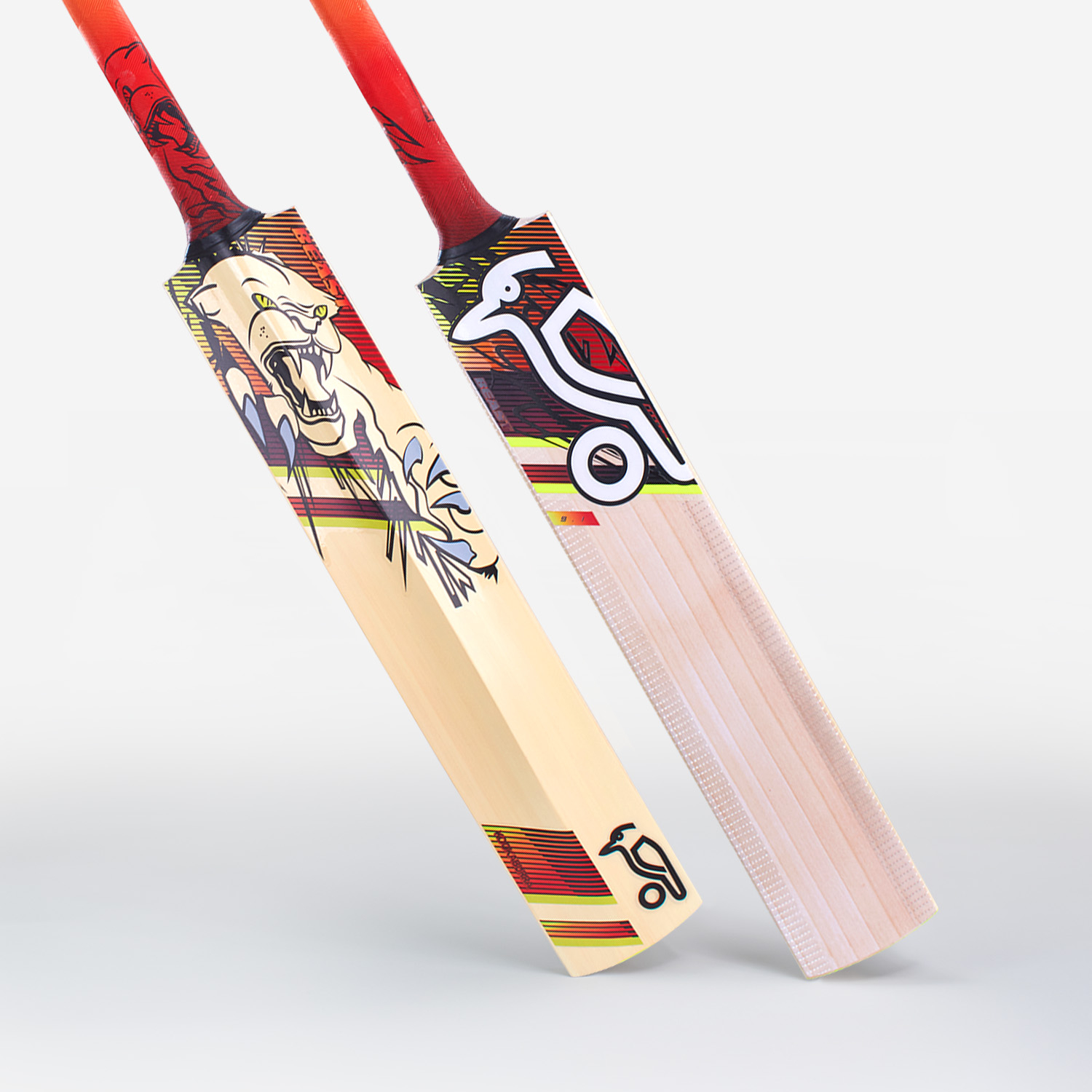 2023 Beast 9.1 Junior Cricket Bat 