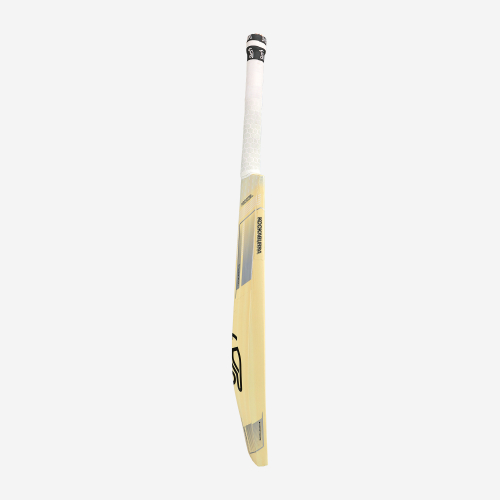 2025 Nickel 10.1 Junior Cricket Bat