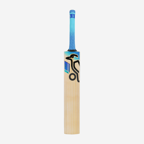 2025 Rapid 9.1 Junior Cricket Bat